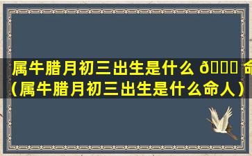 属牛腊月初三出生是什么 🕊 命（属牛腊月初三出生是什么命人）